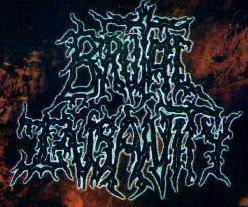 logo Brutal Insanity